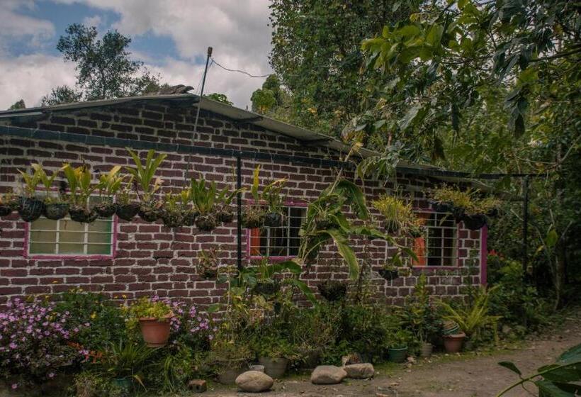 הוסטל Ayen Bienestar Ancestral