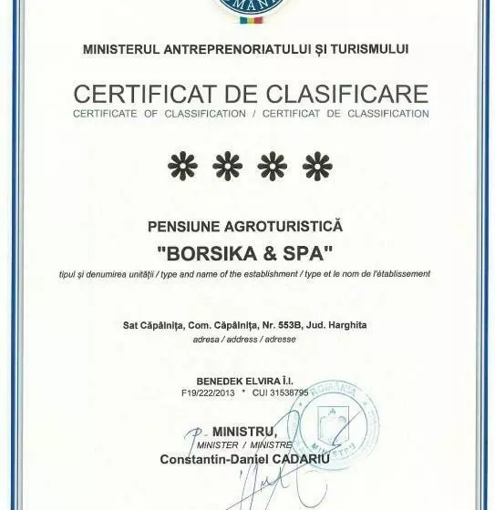 Borsika Pensiune & Spa