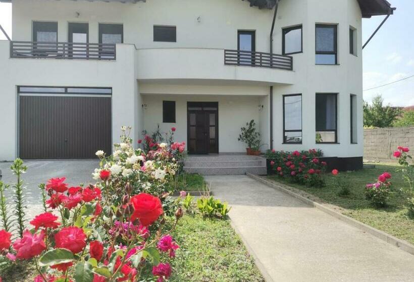 ペンション Vila Aladin