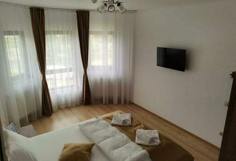 ペンション Vila Aladin