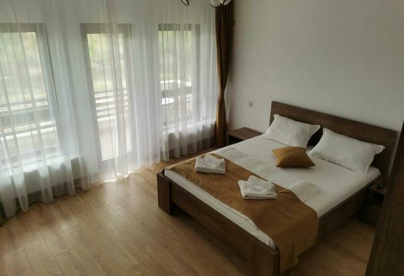 ペンション Vila Aladin