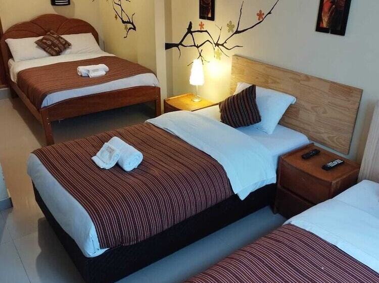 住宿加早餐 Machupicchu Magna