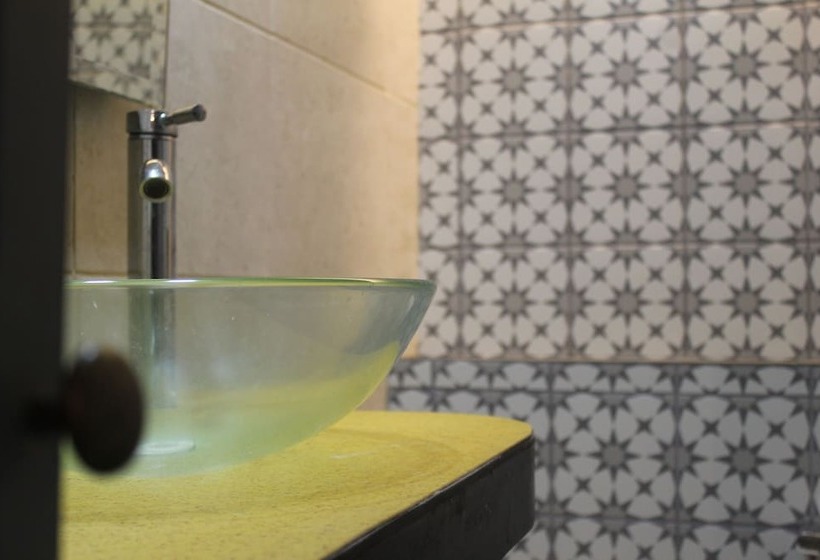 هتل Sonno Plaza Allende