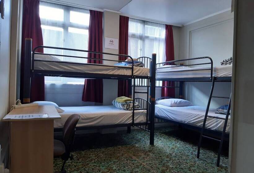 فندق صغير Ariki Backpackers