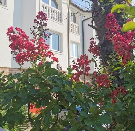 تختخواب و صبحانه Casa Oasa