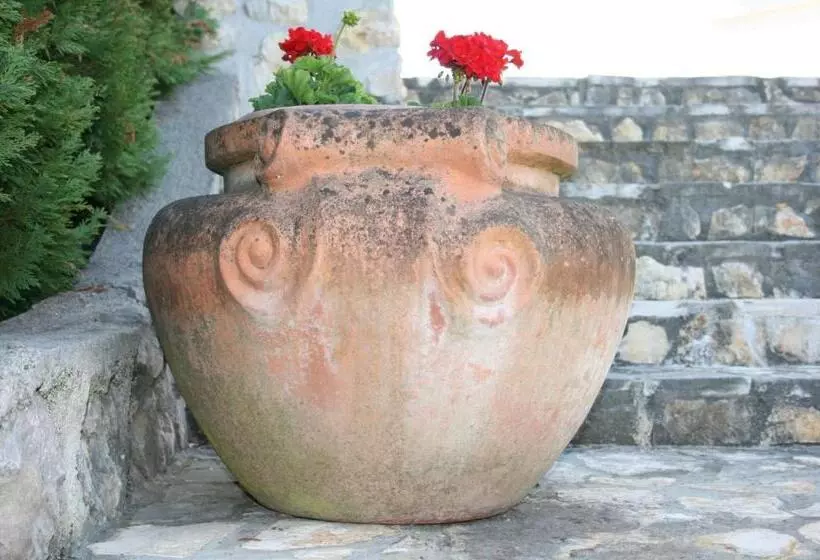 تختخواب و صبحانه Casa Oasa