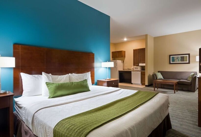 בית מלון כפרי Best Western Plus Patterson Park Inn