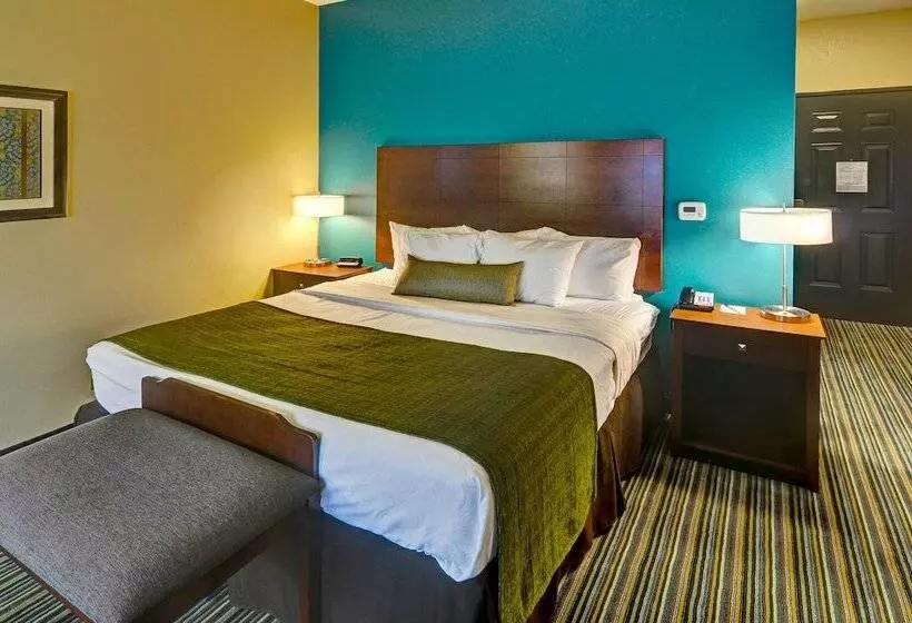 Отель Best Western Plus Patterson Park Inn