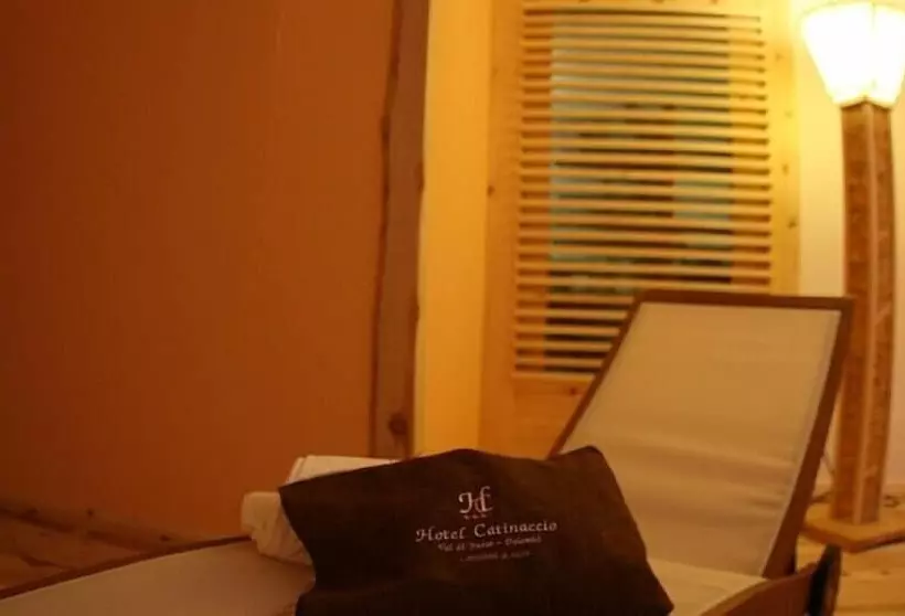 Отель Catinaccio
