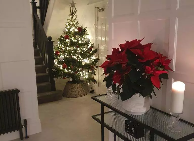 Hotel Chynoweth Lodge