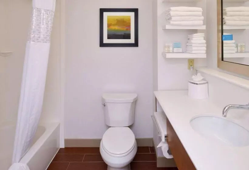 ホテル Hampton Inn & Suites By Hilton Lonoke