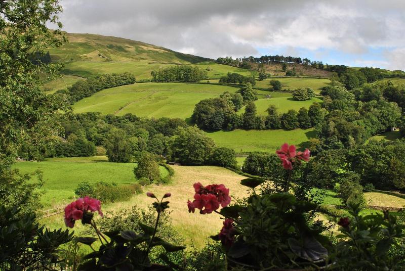 교외 호텔 High Fold Guest House