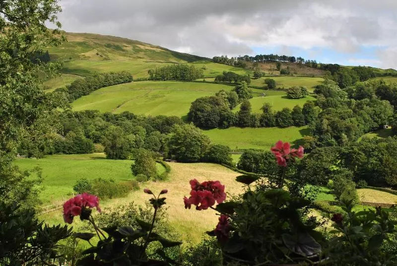 乡村酒店 High Fold Guest House