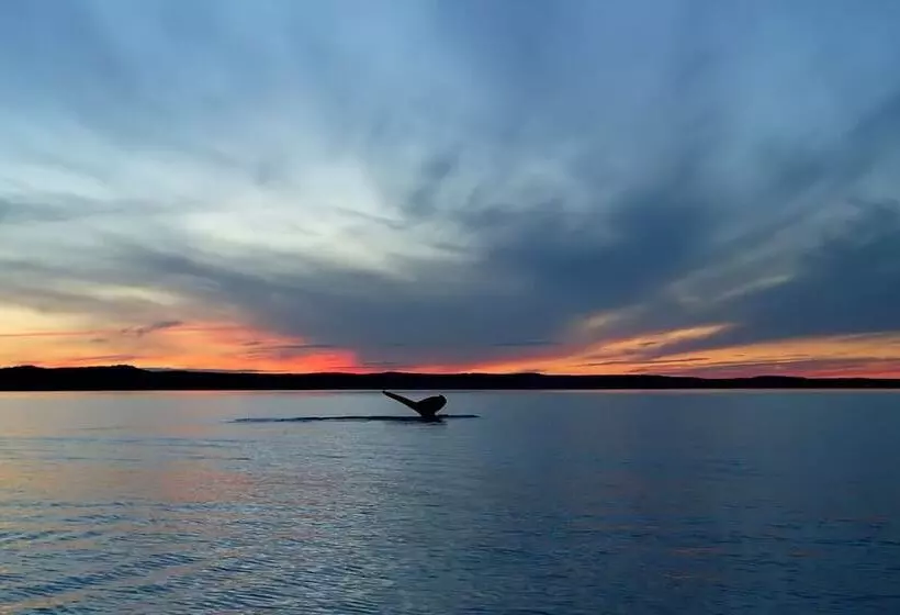 בית מלון כפרי The Dunes Resort &