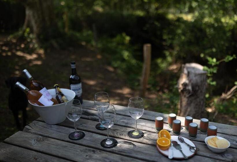 پانسیون La Métairie Guesthouse