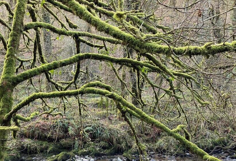 צימר The Hayloft, Exmoor