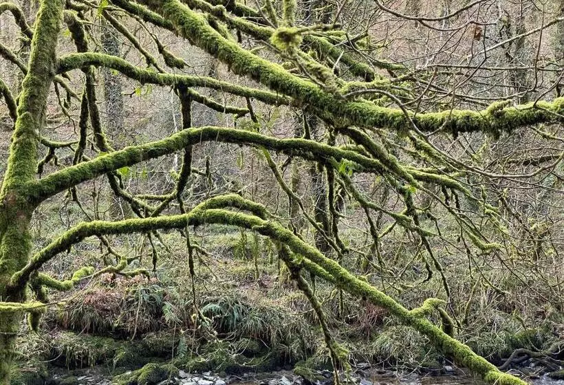 ベッドアンドブレックファースト The Hayloft, Exmoor