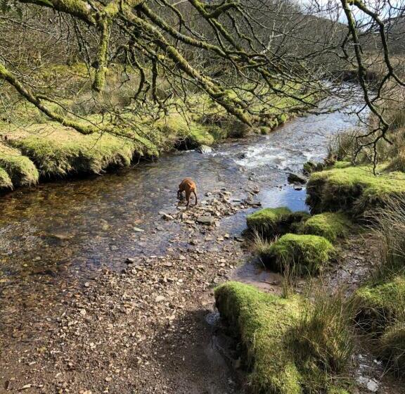 צימר The Hayloft, Exmoor