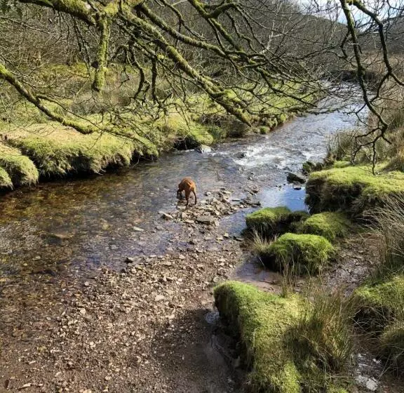 ベッドアンドブレックファースト The Hayloft, Exmoor