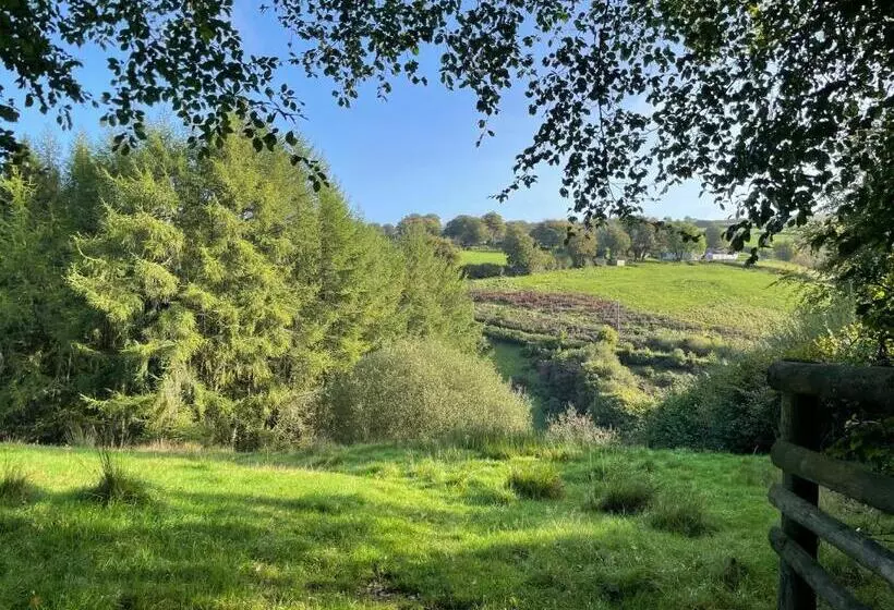 ベッドアンドブレックファースト The Hayloft, Exmoor