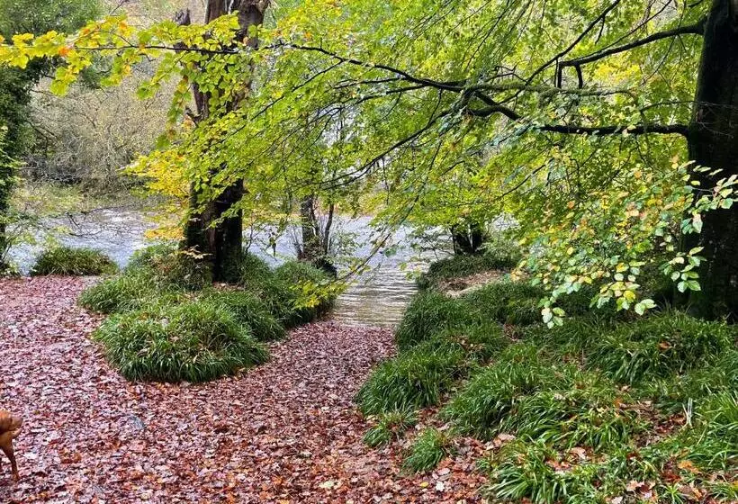 ベッドアンドブレックファースト The Hayloft, Exmoor