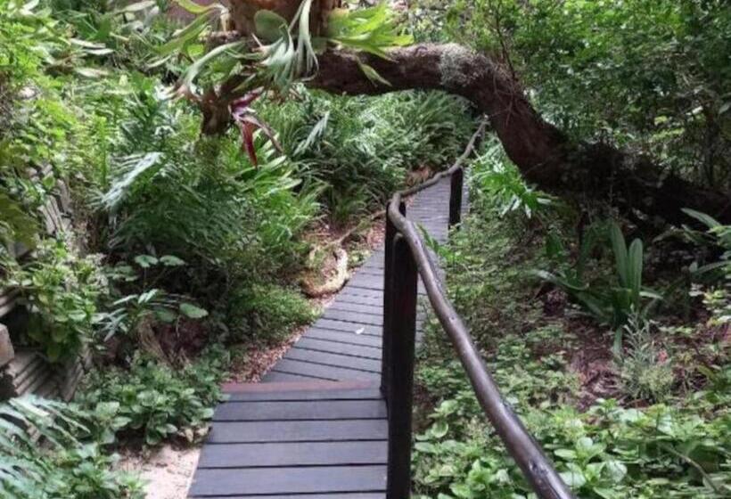 פנסיון Valparaiso