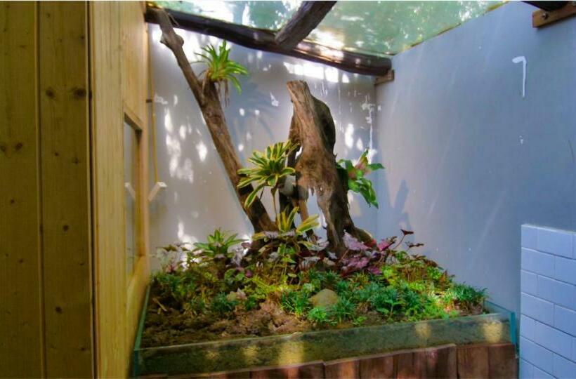 Majatalo Nala Boutique Retreat