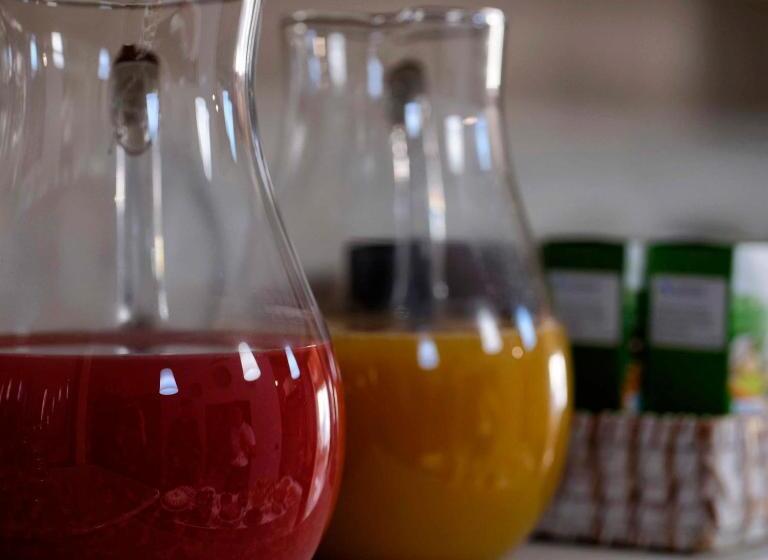 Bed and Breakfast Piana La Gatta