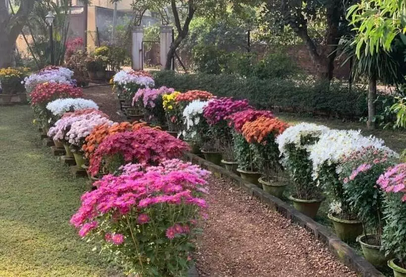 Majatalo Nibhriti Guest House