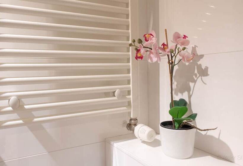 Oneluxstay Antwerp City Centre