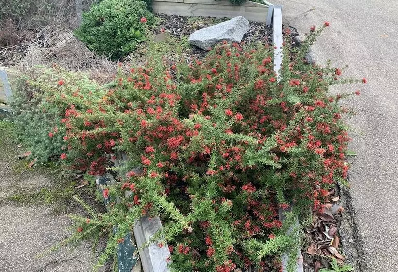 Hotelli Orbost Country Man Motor Inn