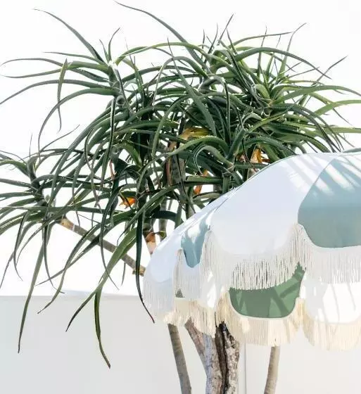 Motel Molly   Boutique Hotel Mollymook