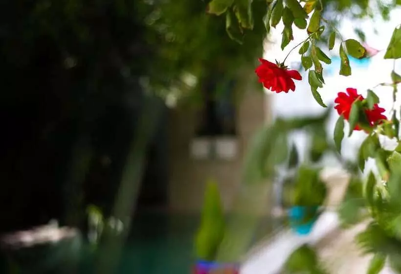 Granados Palacio Hotel Boutique