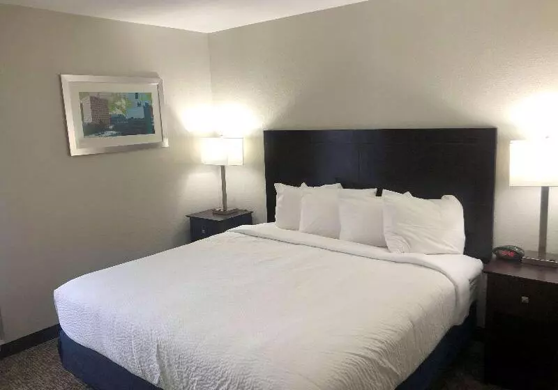 Hotelli Best Western Plus Lafayette Vermilion River Inn & Suites