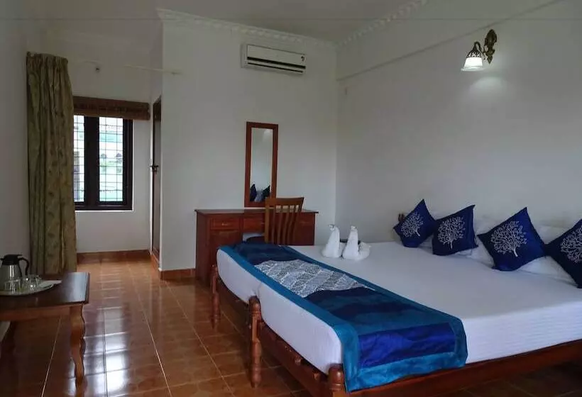 בית מלון כפרי Cosy Regency