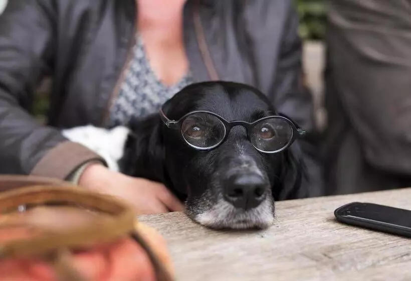 호텔 Restaurant Oortjeshekken