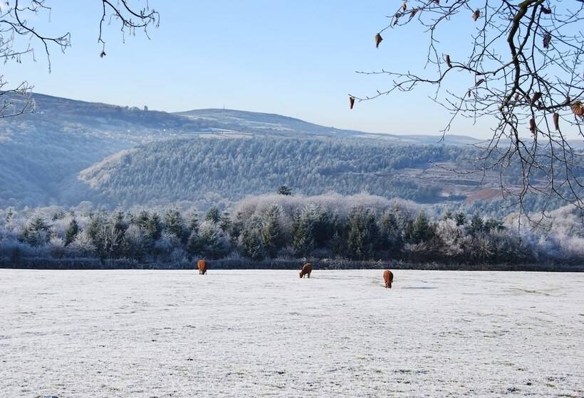 فندق The Horn Of Plenty