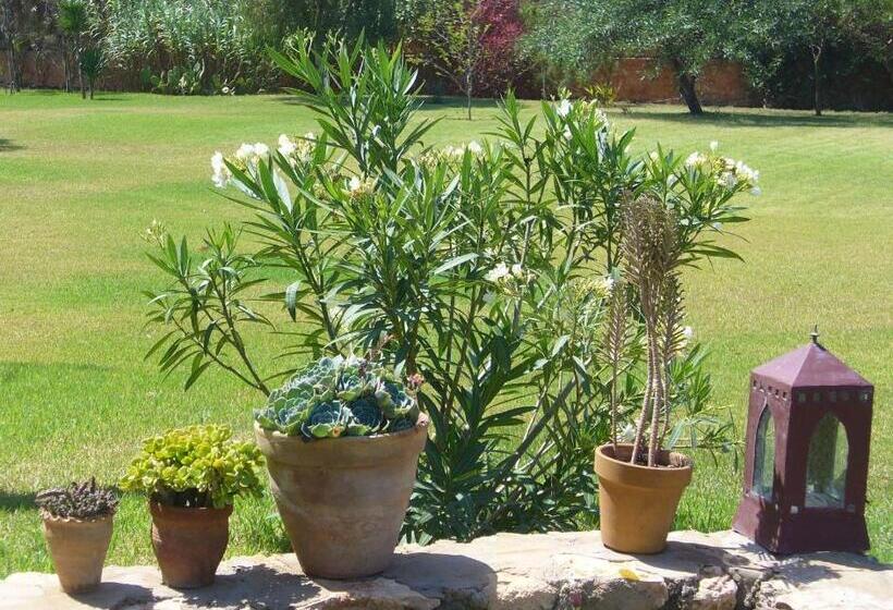 پانسیون Dar Al Manar