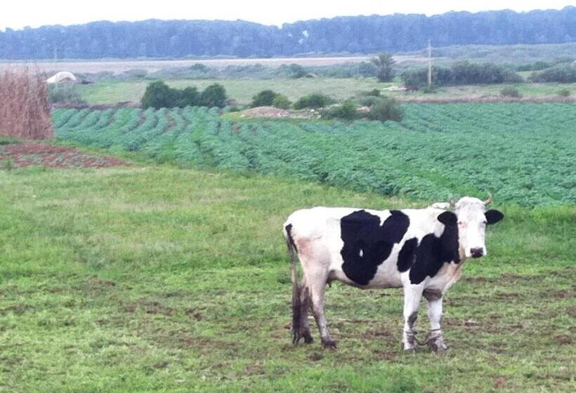 پانسیون Dar Al Manar