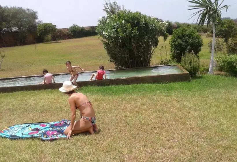 پانسیون Dar Al Manar