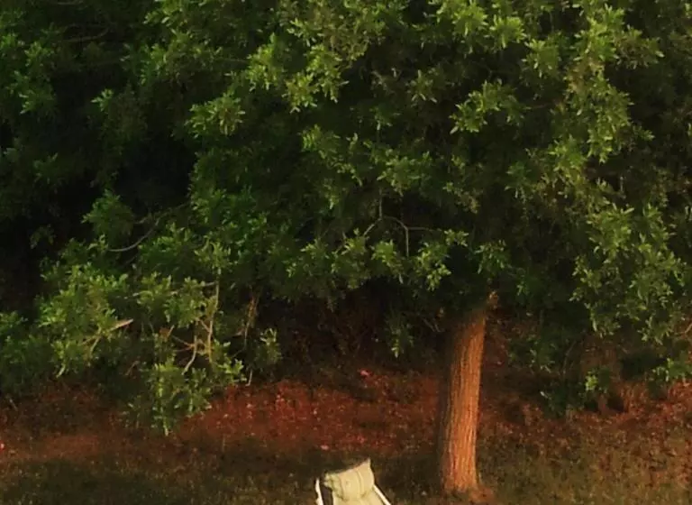 پانسیون Dar Al Manar