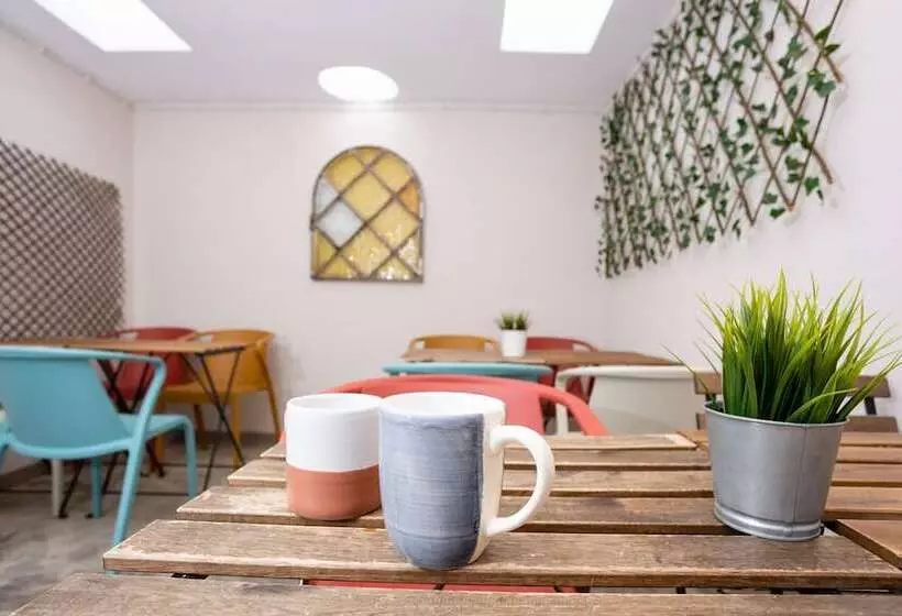 Kais Do Sol   Hostel