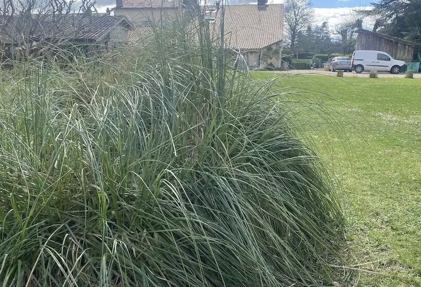 ベッドアンドブレックファースト Chambres Et Gîtes Les Deux Chênes Près De Bergerac