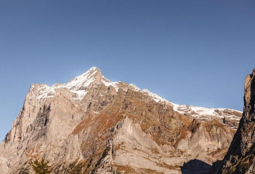 هتل Fiescherblick