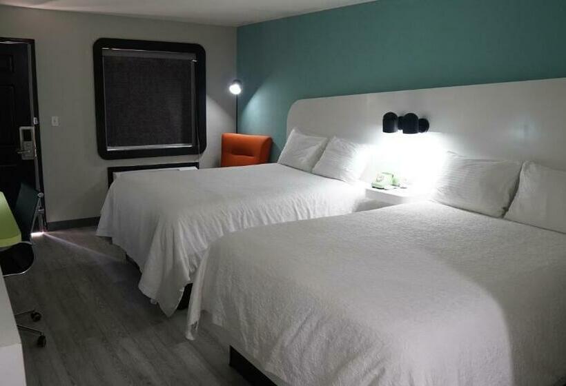 הוסטל Hodler Inn