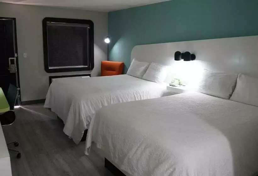 Retkeilymaja Hodler Inn