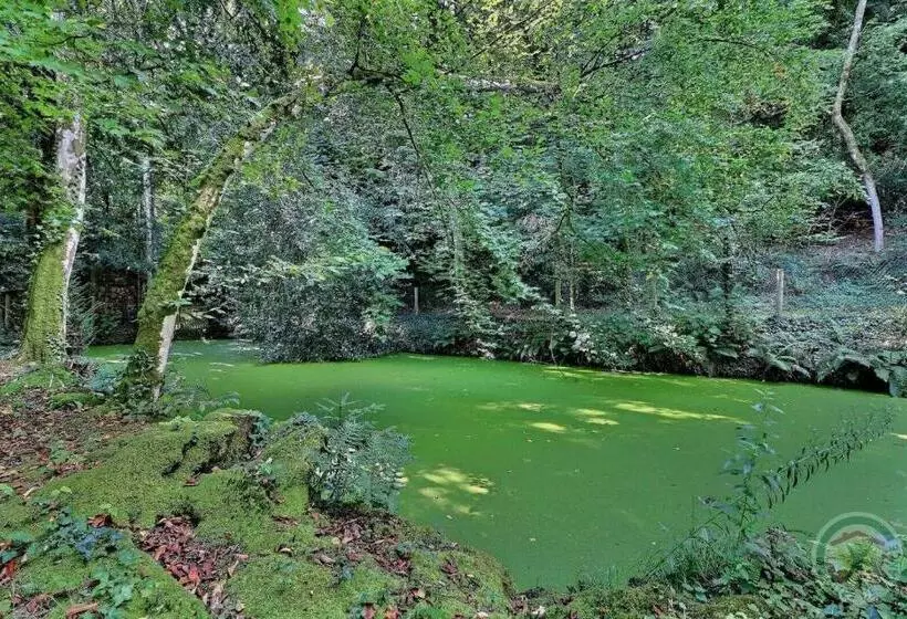 ベッドアンドブレックファースト Manoir De La Droulinais