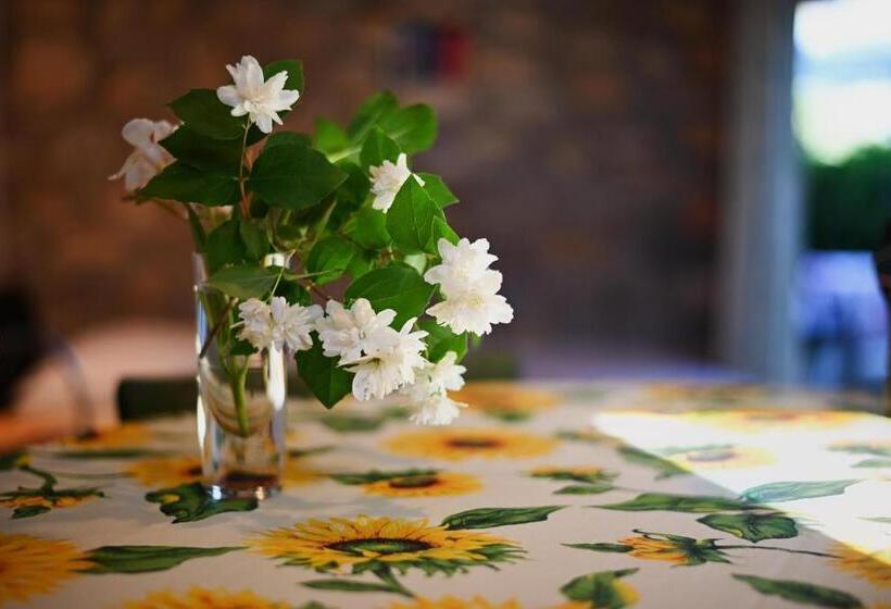 Otel Antico Podere Carbone