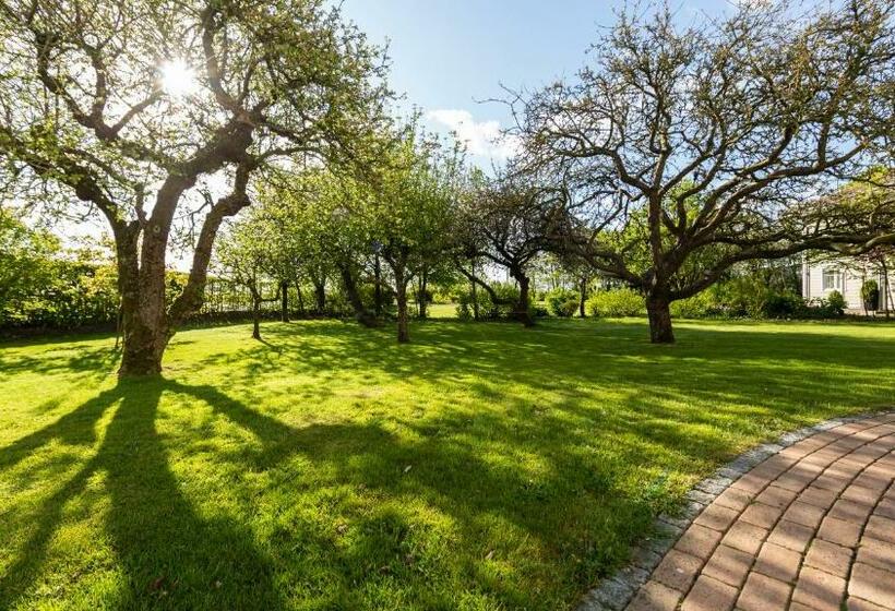 旅馆 Gast@marschland