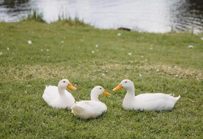 Отель Ampersand Estates